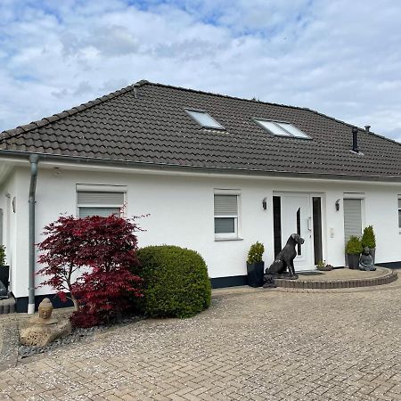 Appartamento Waldblick Walsrode / Bomlitz Esterno foto